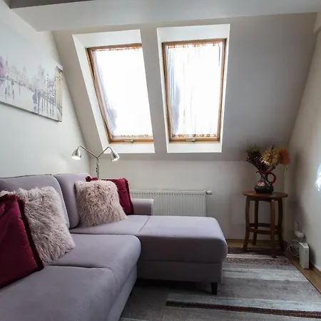 Orkana 1 Centrum Superior By Homeprime * زاكوباني