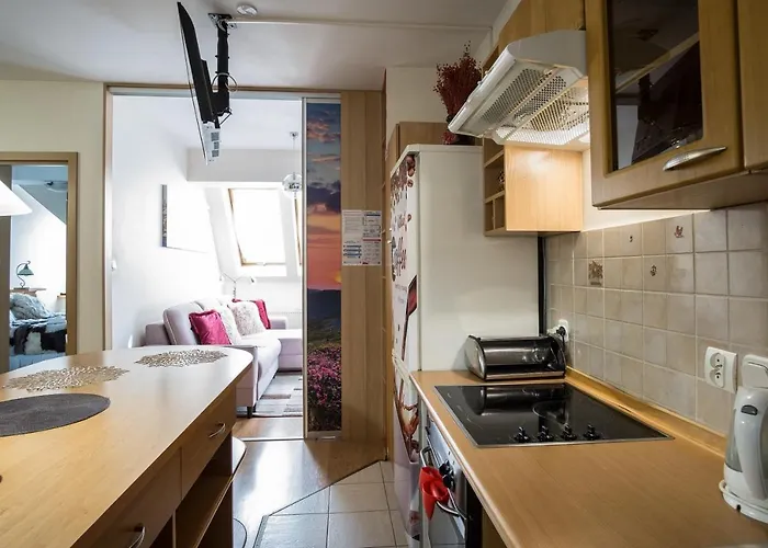 Orkana 1 Centrum Superior By Homeprime